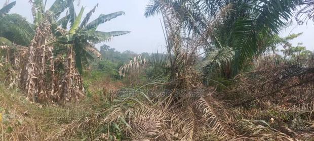 3 Plots of Land Located at Kwabere Kasaam for Sale · Photo 8