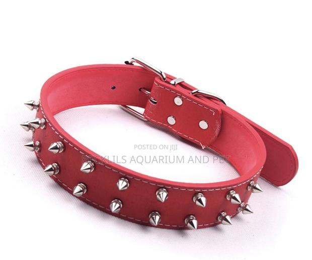 Adjustable Wide Leather Collar · Photo 2
