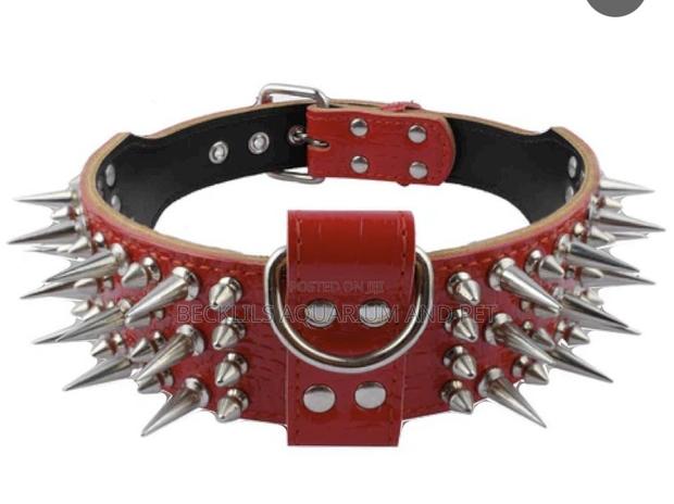 Adjustable Wide Leather Collar · Photo 3