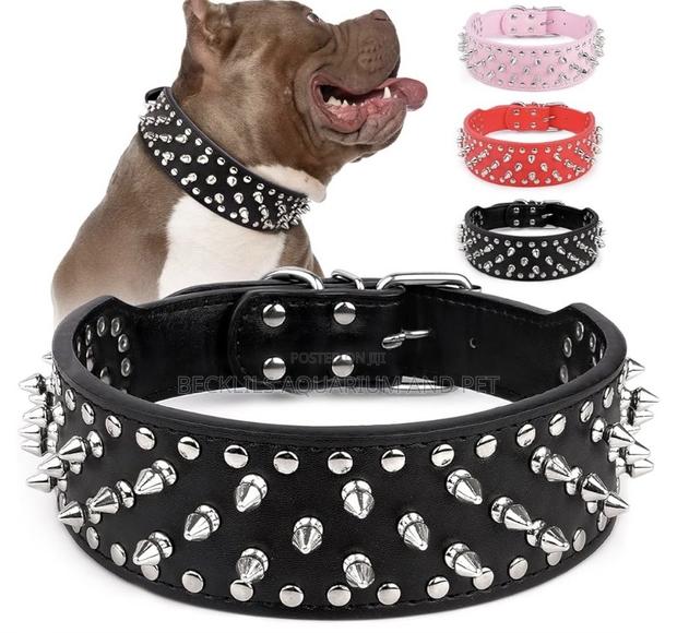 Adjustable Wide Leather Collar · Photo 1
