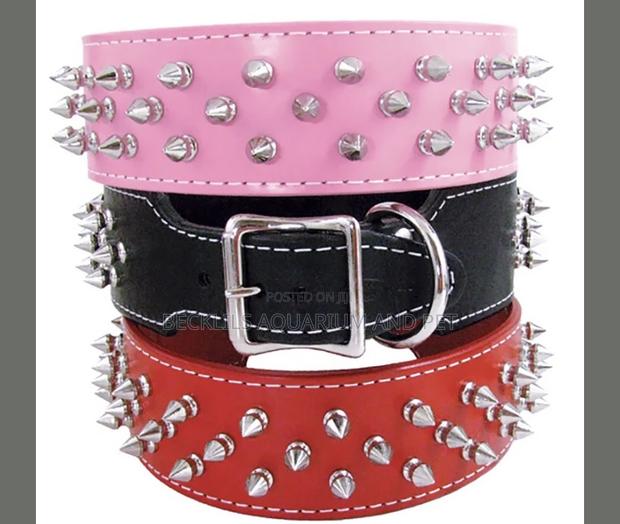 Adjustable Wide Leather Collar · Photo 4