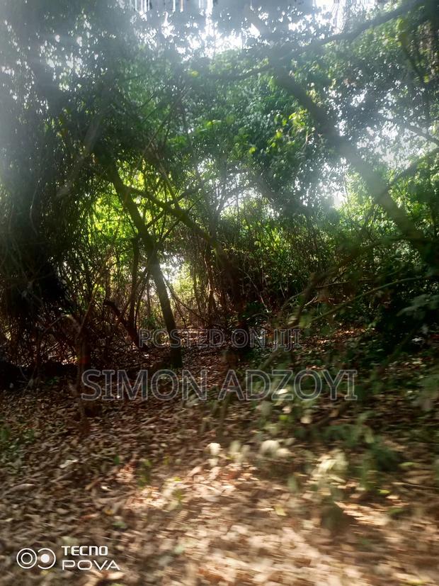 80 Km Square of Gold Mining Concession · Photo 1