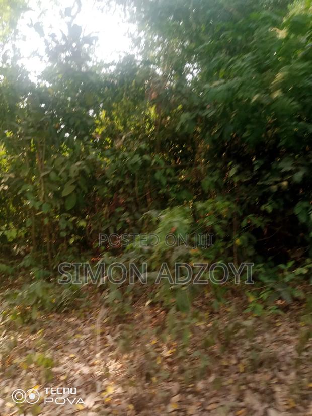 80 Km Square of Gold Mining Concession · Photo 2