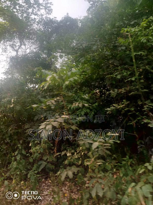 80 Km Square of Gold Mining Concession · Photo 3