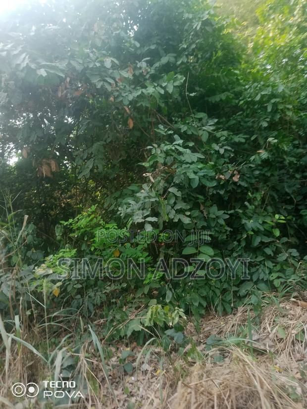 80 Km Square of Gold Mining Concession · Photo 4