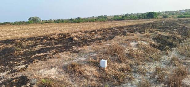 Secure Landguard Free Registered Lands - Afienya Shai Hills · Photo 1