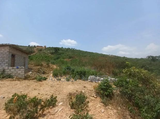 5 Plots for Sale at Ayi Mensah Hills · Photo 1
