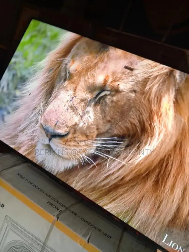 TCL 50 Qled Tv Allows You to Enjoy Movie With Little Help From Google · Photo 1