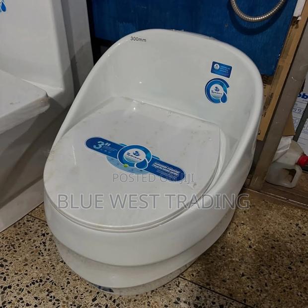 Egg Shaped Wc _Egg Shaped Water Closet · Photo 2