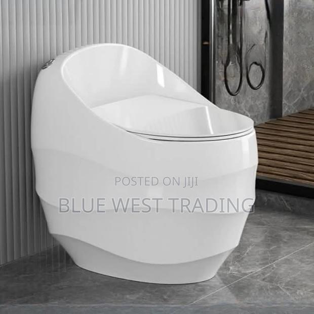 Egg Shaped Wc _Egg Shaped Water Closet · Photo 3