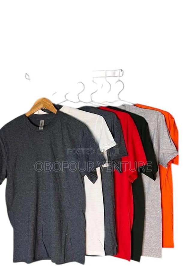 Adult Plain T-Shirt From USA · Photo 1
