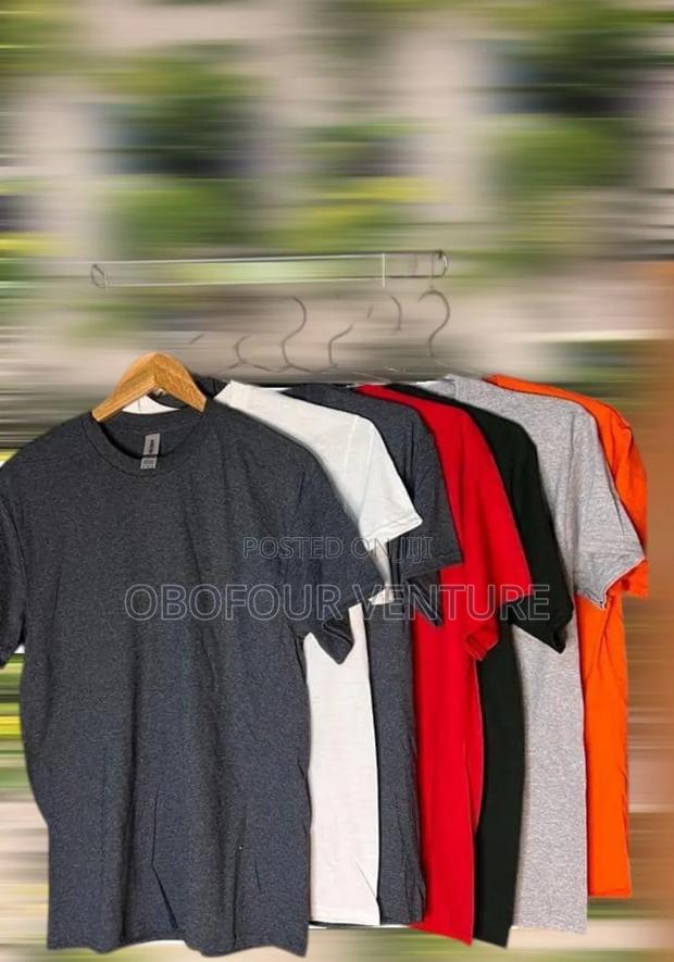 Adult Plain T-Shirt From USA · Photo 2