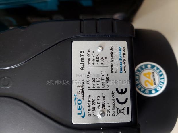 Leo Water Pump · Photo 2