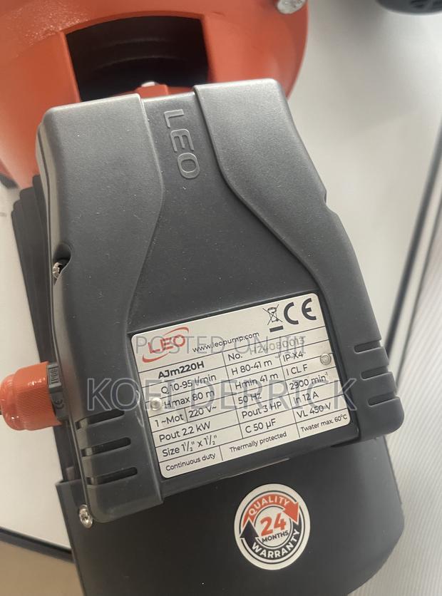 3hp Pump - Leo Surface Pump · Photo 3