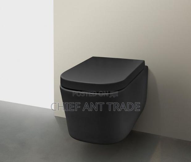 Concealed Wc Wall Toilet Seat. 625b · Photo 2