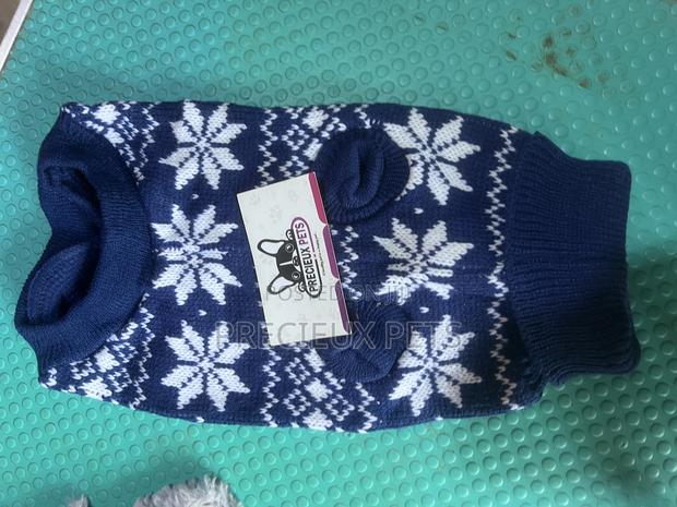 Toy Dog Clothing 2025-01 · Photo 1