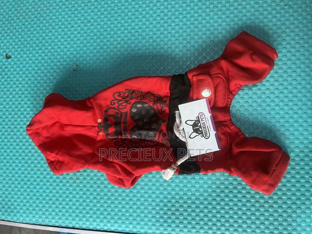 Toy Dog Clothing 2025-0 2 · Photo 1