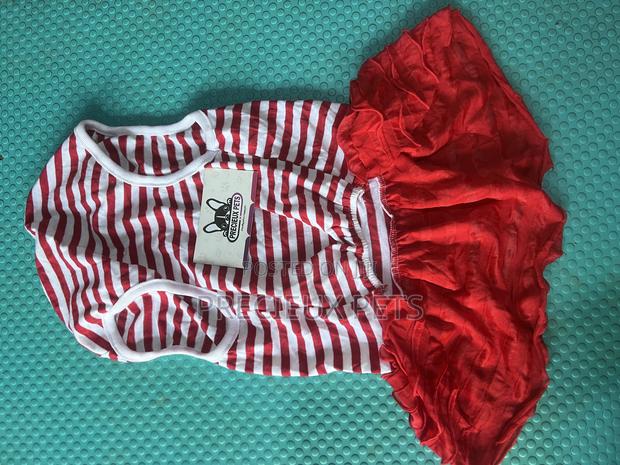 Toy Dog Clothing 2025-0 4 · Photo 1