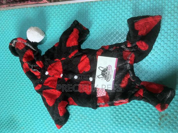 Toy Dog Clothing 2025-0 13 · Photo 2
