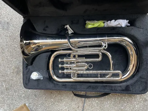 Silver Euphonium Crown · Photo 1
