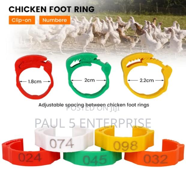 Chicken Foot Ring Wholesale and Retail · Photo 2
