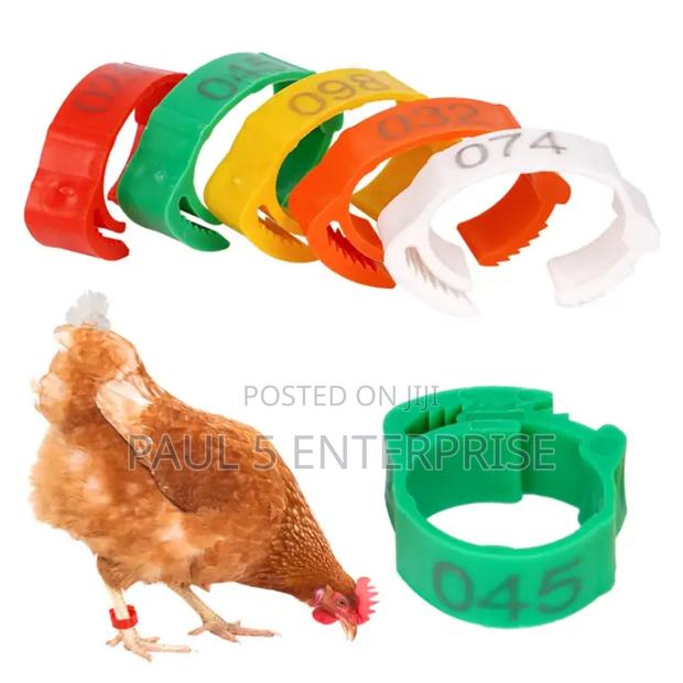 Chicken Foot Ring Wholesale and Retail · Photo 1