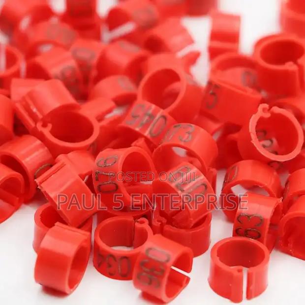 Chicken Foot Ring Wholesale and Retail · Photo 3