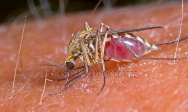 Settled Fumigation on Insects,Reptiles and Bedbugs · Photo 1