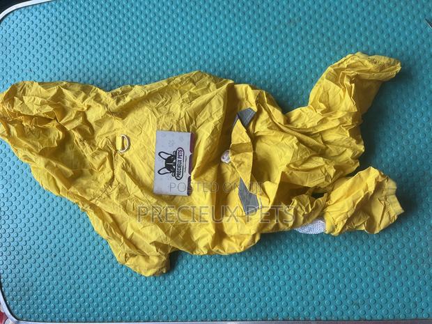 Toy Dog Clothing- New Stock -2025-000054 · Photo 1