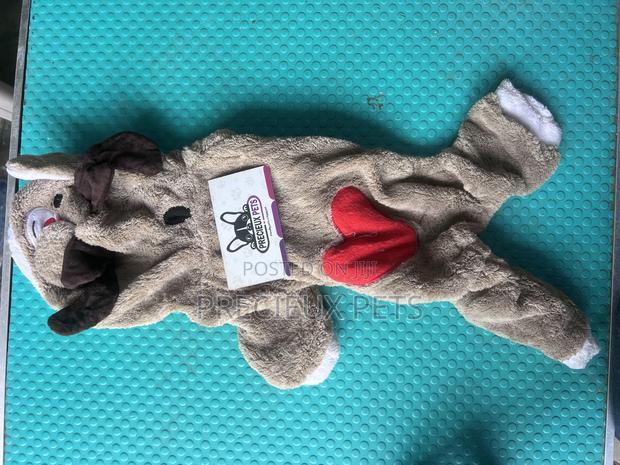 Toy Dog Clothing- New Stock -2025-00052000 · Photo 1