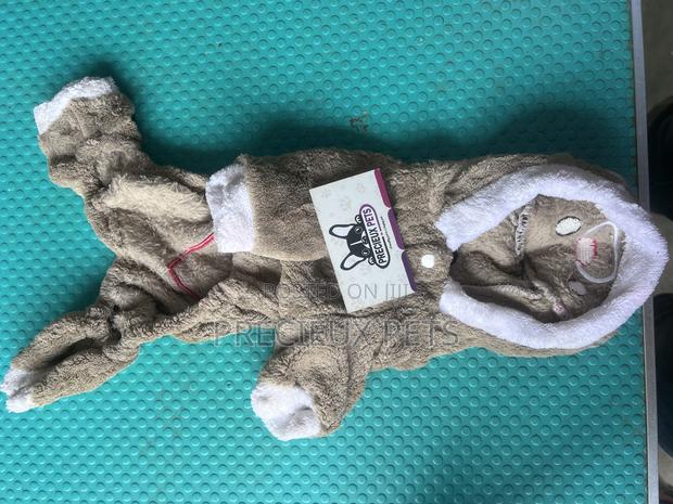 Toy Dog Clothing- New Stock -2025-00052000 · Photo 2