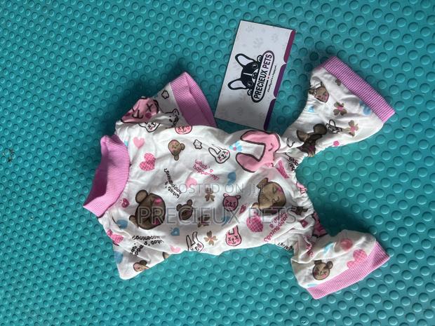Toy Dog Clothing- New Stock -2025-000048-00 · Photo 1