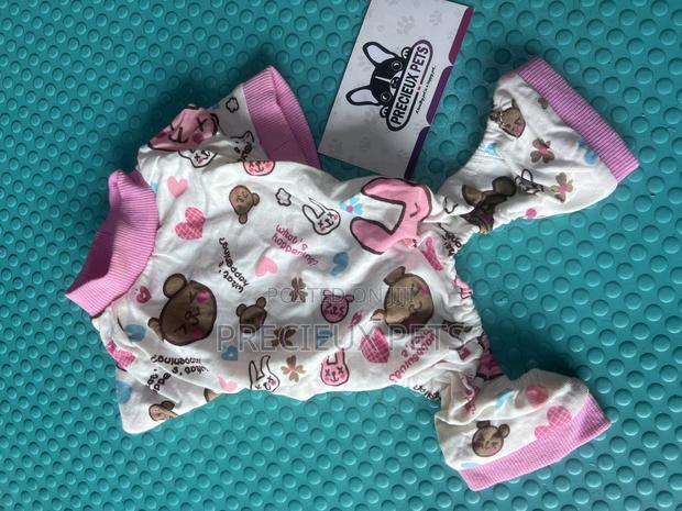 Toy Dog Clothing- New Stock -2025-000048-00 · Photo 2