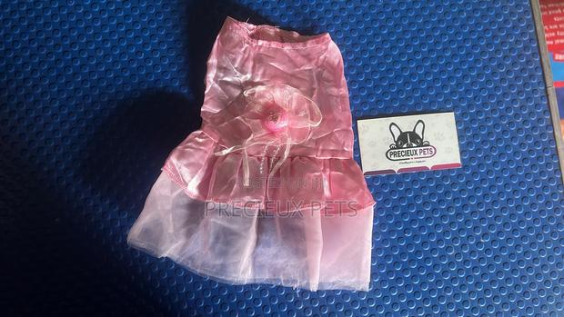 Toy Dog Clothing- New Stock -2025-0620000 · Photo 1