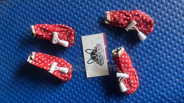 Shoes for Toy Dogs -Adolescent · Photo 1