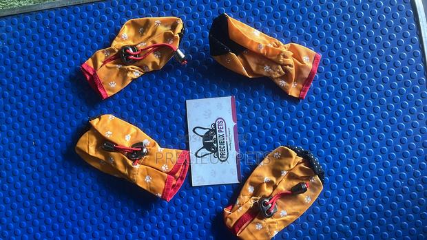 Shoes for Toy Dogs -Adolescent · Photo 2