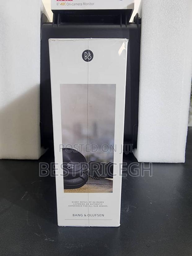 Bang Olufsen (BO ) Headphones · Photo 2