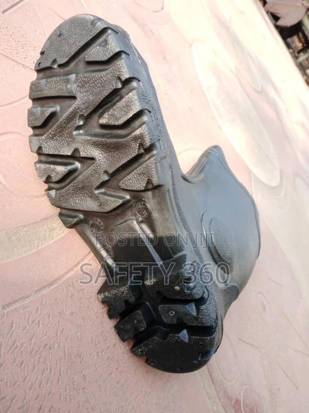 Wellington Boot · Photo 3