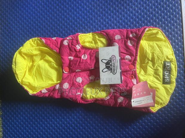 Toy Dog Clothing- New Stock -2025-00064000 · Photo 2