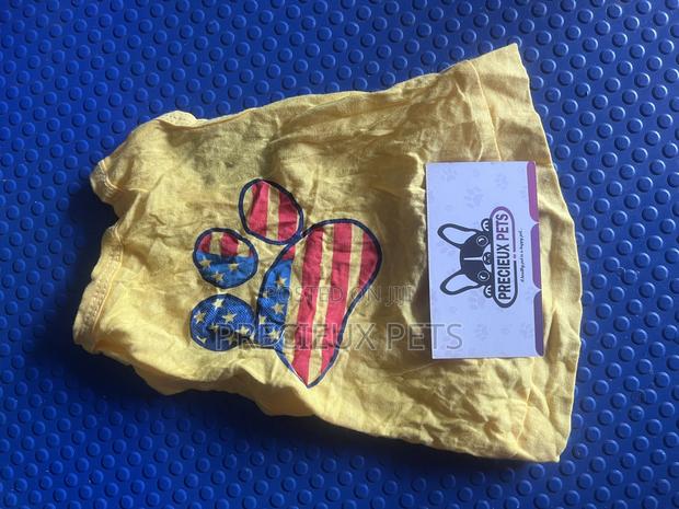 Toy Dog Clothing- New Stock -2025-0660000 · Photo 1