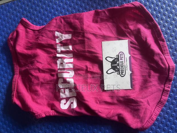 Toy Dog Clothing- New Stock -2025-070-000 · Photo 1