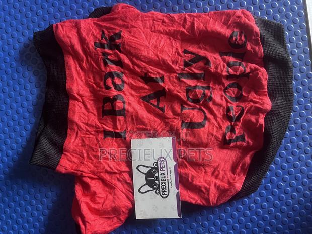 Toy Dog Clothing- New Stock -2025-071-0001 · Photo 1