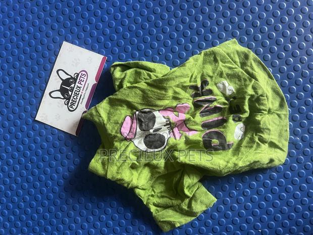 Toy Dog Clothing- New Stock -2025-000720000 · Photo 1