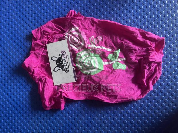 Toy Dog Clothing- New Stock -2025-00077000 · Photo 1