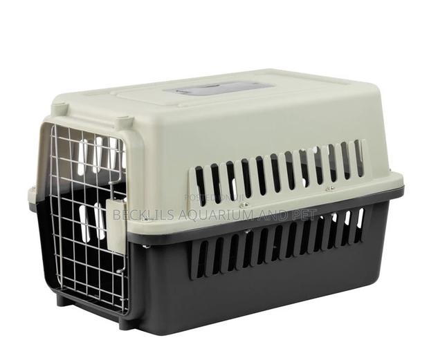 Plastic Dog Crate Available · Photo 3