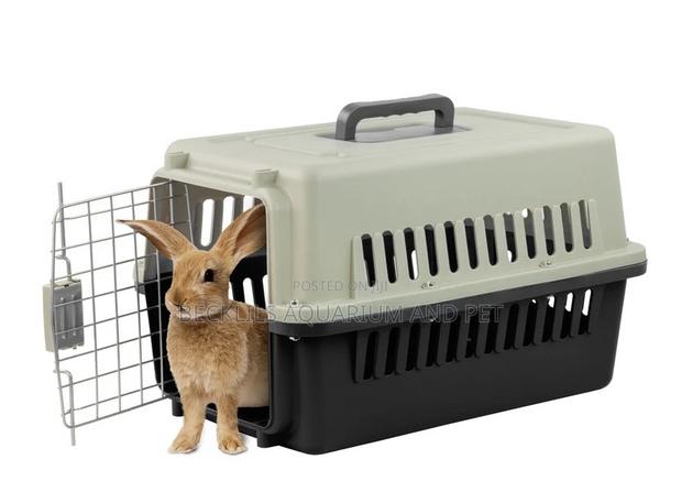 Plastic Dog Crate Available · Photo 1