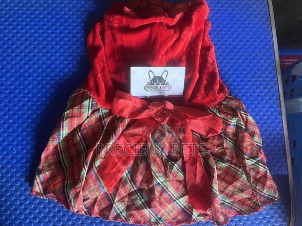 Toy Dog Clothing- New Stock -2025-00001000 · Photo 1