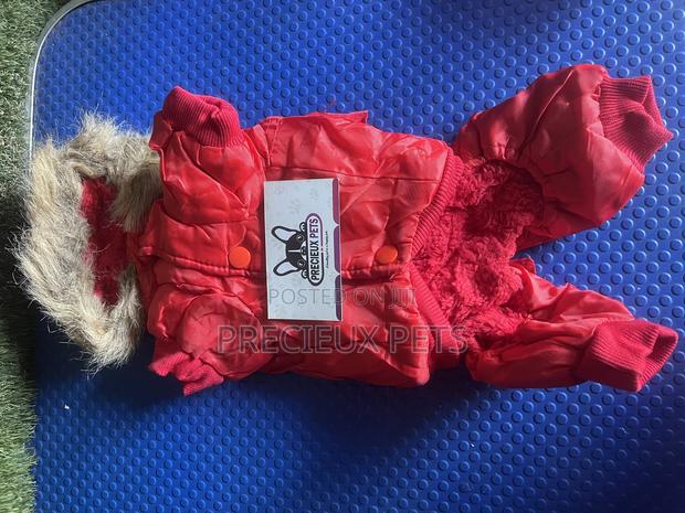 Toy Dog Clothing- New Stock -2025-0 030000 · Photo 1