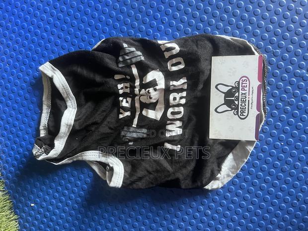 Toy Dog Clothing- New Stock -2025-0 400000 · Photo 1