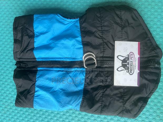 Toy Dog Clothing- New Stock -2025-0500037 · Photo 1